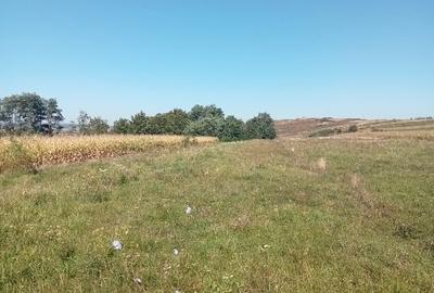 Teren intravilan cu suprafață de 1800m² Saucenița com Văculești - 1