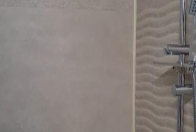 Colentina,Funden,Avion langa Parcul Plumbuita - 6