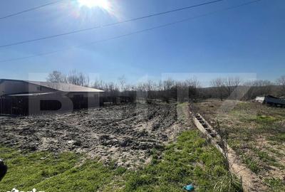 Teren de 351 mp, în Calea București - 3