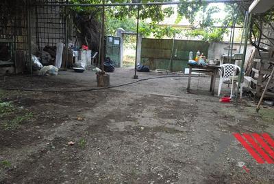Casa si gradina cu livada 1683 mp - 48.500 euro - Topolovatu Mare - 11