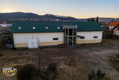 FILM! Spatiu comercial adaptabil:hala+ cladire birouri+3.272 mp teren,Sfantu Ghe - 17