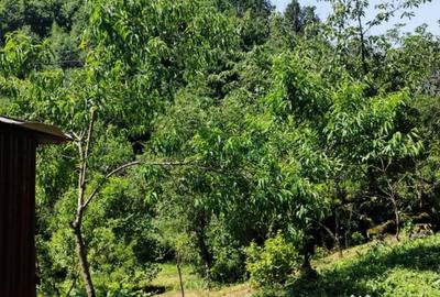 Casă cu 2 camere cu Teren 7500 Mp în Valea Roșie - 2