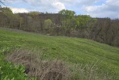 Casă cu 3 camere în Motoșeni - 4