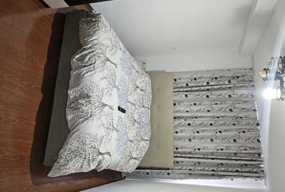 Apartament cu 2 camere decomandat în Ultracentral - 4
