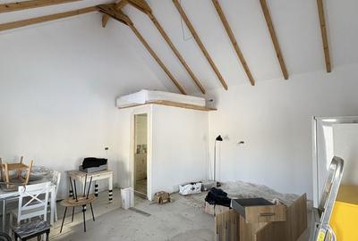 Casă cu 4 camere în Nicolae Bălcescu