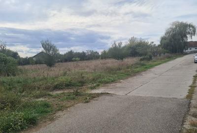 Spațiu comercial, în Băcia - 2