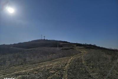 Spațiu comercial, în Tomești - 15