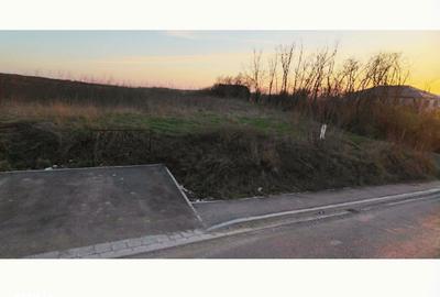 Spațiu comercial, în Săldăbagiu de Munte - 8