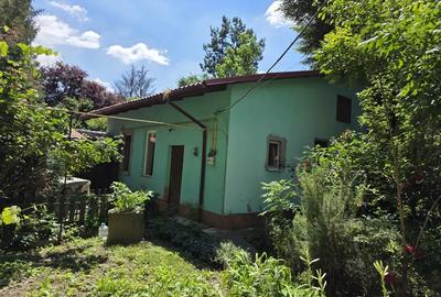 Casă cu 2 camere în Central - 4