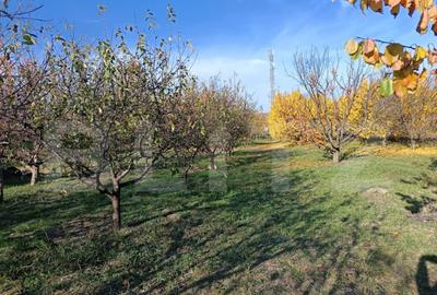 Teren Intravilan 6300 mp Magurele Prahova , Oportunitate ! - 6