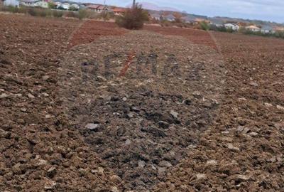 Teren de 19119 mp, în Ostratu - 7