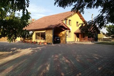 Vand casa pensiune cu helesteu aproape de Timisoara-locatie excelenta! - 2