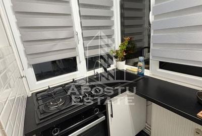 Apartament de i?nchiriat NOU pe Calea Aradului / complet utilat 52 mp2 - 6