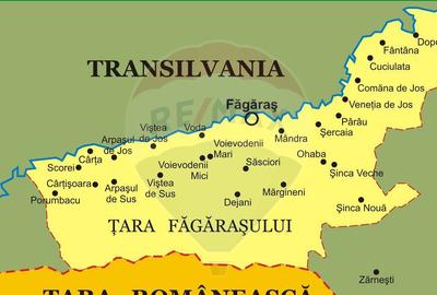 Comision 0 %/ Teren extravilan 3197 mp pitoresc/ Fagaras - 12