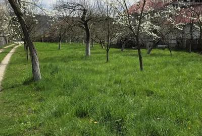 Teren de 1048 mp, în Vlădești - 3
