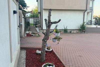 Casa S+P+1 252mp utili, 585 mp teren, zona Lapus - 5