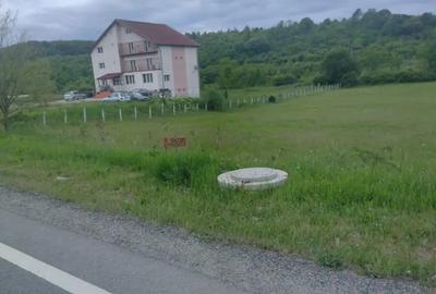 Teren de 4441 mp, în Sânmartin - 1