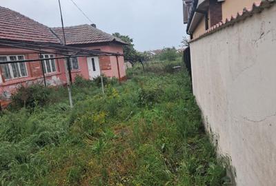 Teren Construcții intravilan de 1188 mp, în Palazu Mare - 3