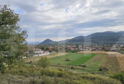 Vila la rosu, 240 mp, teren 93.000 mp - Șoimus Vila la rosu, 240 mp, teren 93.000 mp - Șoimus - 4