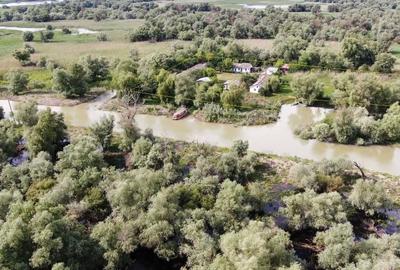 Teren de 11862 mp, în Vulturu - 1