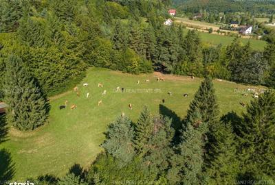 Spațiu comercial, în Vulcan