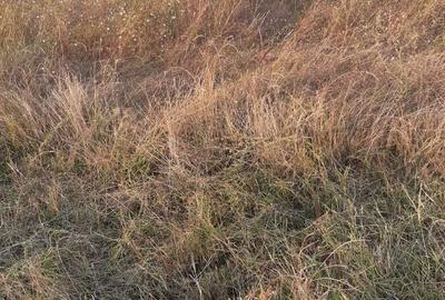 Spațiu comercial, în Central