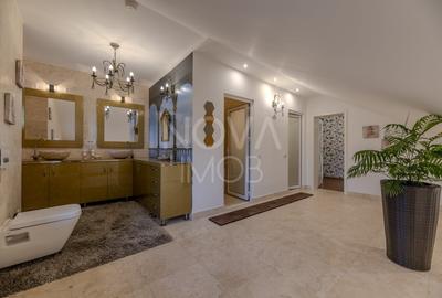 Casă individuală cu 9 camere cu Piscina în Sub Arini - 43