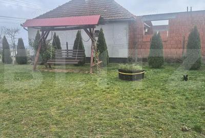 Casa cu 2 camere, 65 mp, teren 2910 mp, in Viile Satu Mare - 2