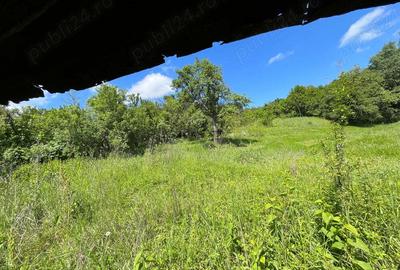 Casa la Ciovarnasani 3600mp - 7