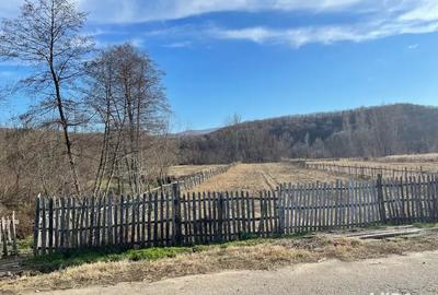 Casa + teren 1312 mp de vanzare in Tisau, Buzau - 3