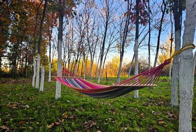 Gradina urbana pentru recreere - Baneasa - 1