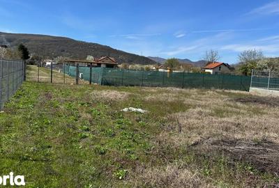 Teren de 1255 mp, în Bujoreni - 9