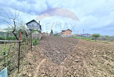 Teren Construcții intravilan de 826 mp, în Luizi-Călugăra - 5