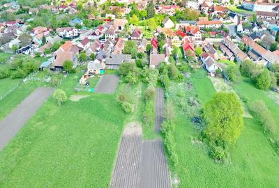 Teren Construcții intravilan de 4400 mp, în Prejmer - 13