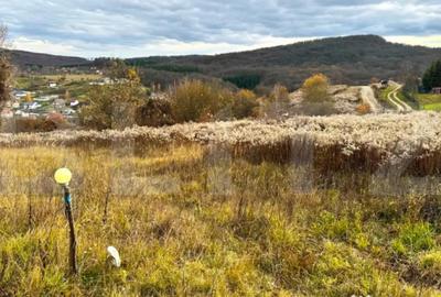 Teren de 2400 mp, în Central - 1