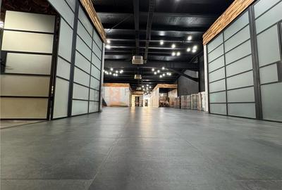 Spatiu de birouri si hala comerciala zona Maracineni - 14