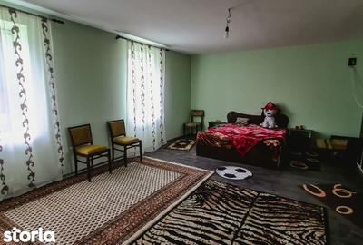 Casă cu Teren 3596 Mp în Pișchia - 14