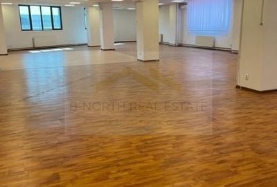 Birou, de 500 mp, în Grozăvești - 5