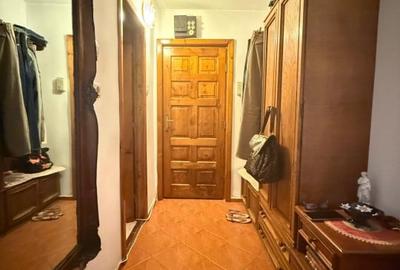 Apartament spatios cu 1 camera, etaj 3 - Zona Timocului - 9