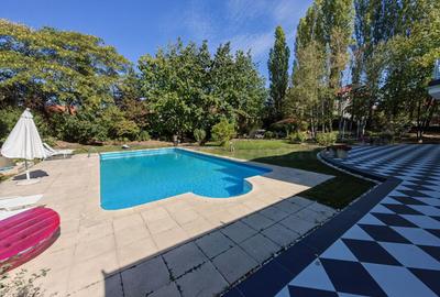 Vilă individuala în zona Iancu Nicolae - 2