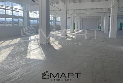 Hala depozitare 700mp malul Cibinului - 1