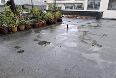 Apartament 3 camere Centrul Civic, Anastasie Panu, zona EON SRI Apartament 3 camere Centrul Civic, Anastasie Panu, zona EON SRI - 14