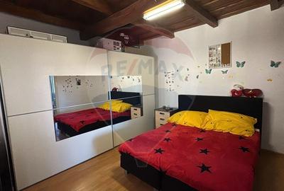 Casă individuală cu 3 camere cu Teren 2241 Mp în Sânnicolau Român - 2