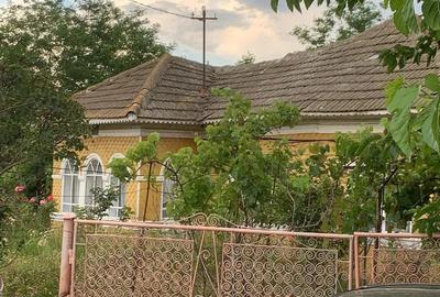Casă cu Teren 2500 Mp în Luica - 2