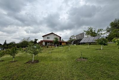 Casă individuală cu 4 camere cu Teren 1561 Mp în Crevedia Mare - 2