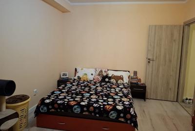 Apartament cu 2 camere, mobilat în Ozana - 9