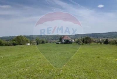 Fost Conac cu padure si teren 54h - 12