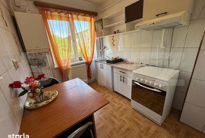 Apartament cu 2 camere semidecomandat în Brazda lui Novac - 2