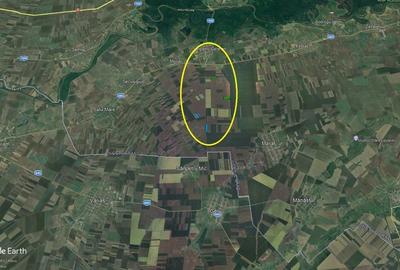50 ha Sanpetru German - teren arabil categoria 1 - - 2