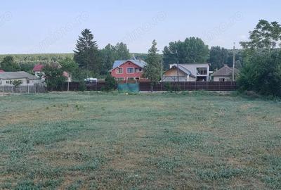 Spațiu comercial, în Borcea - 10